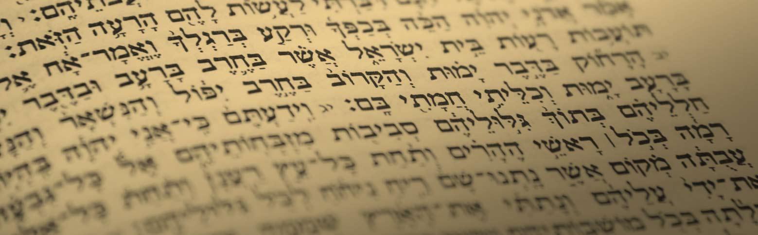 M.A. in Biblical Literature Careers Example Image