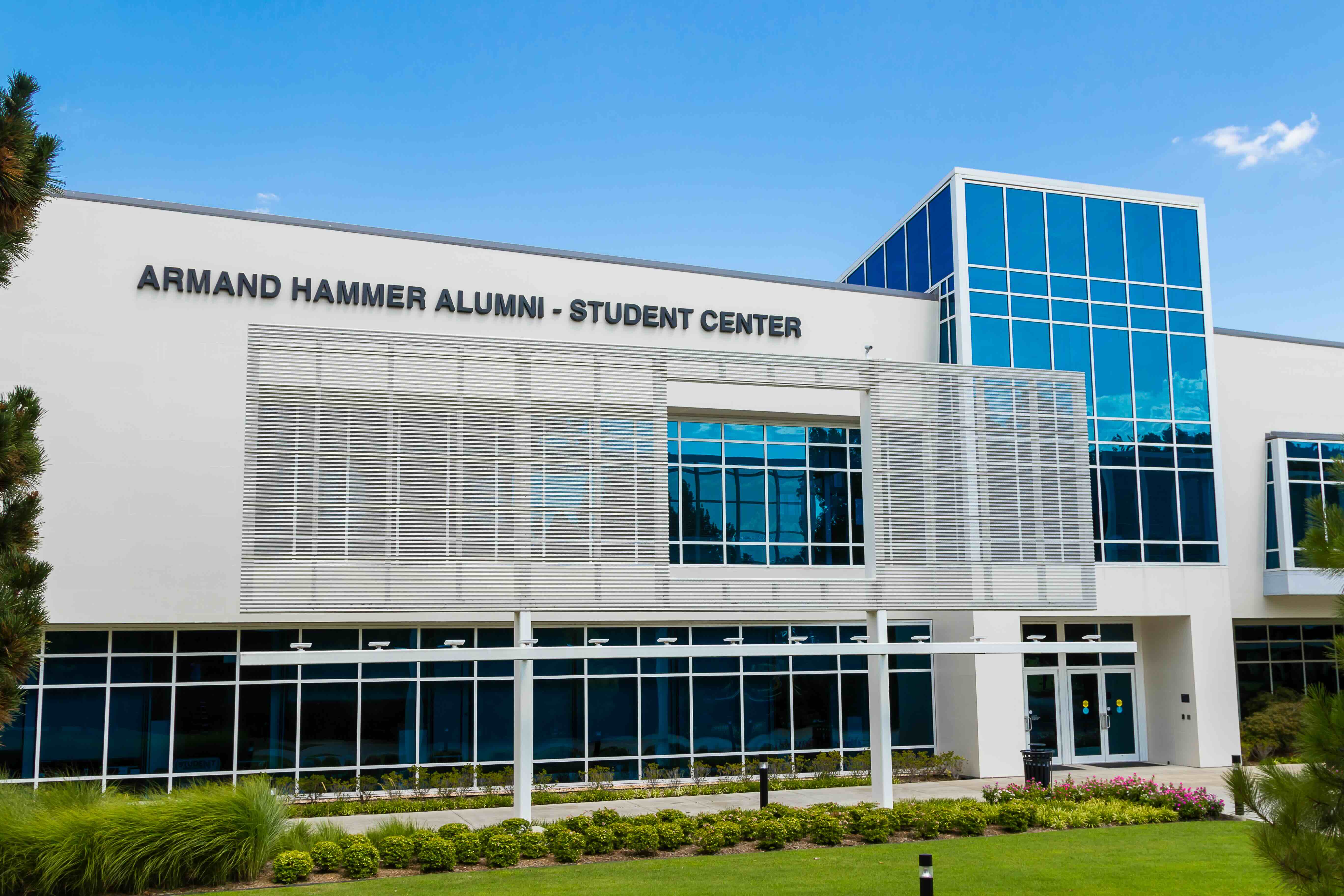 hammer center