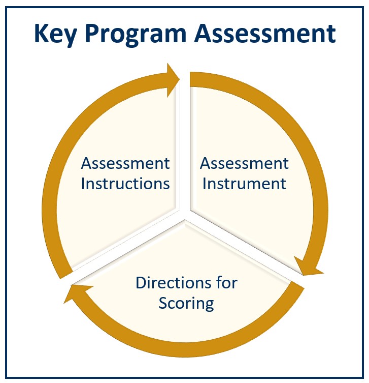 Key Program Assessment 